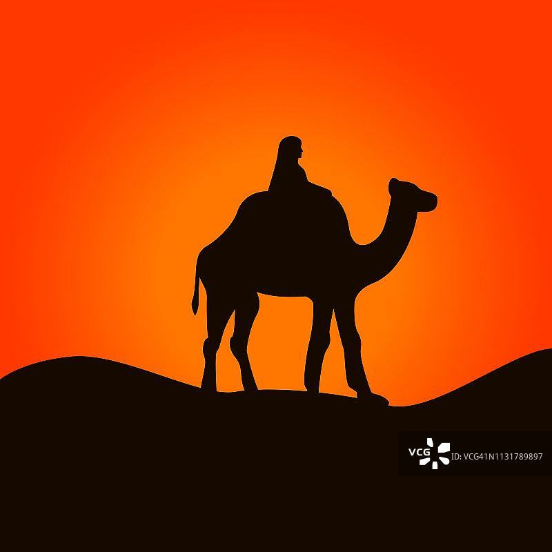 撒哈拉沙漠中的骆驼和骆驼。矢量图图片素材