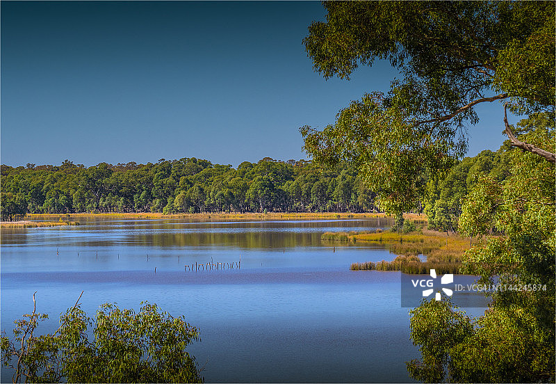 沃肯尼亚河岸风光，默里河谷，北部中部，澳大利亚维多利亚。图片素材