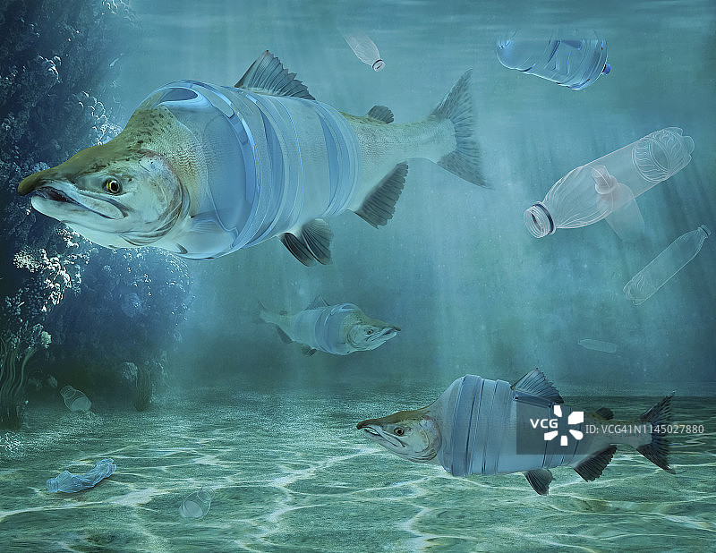 水下的鱼和塑料水瓶，合成图像图片素材