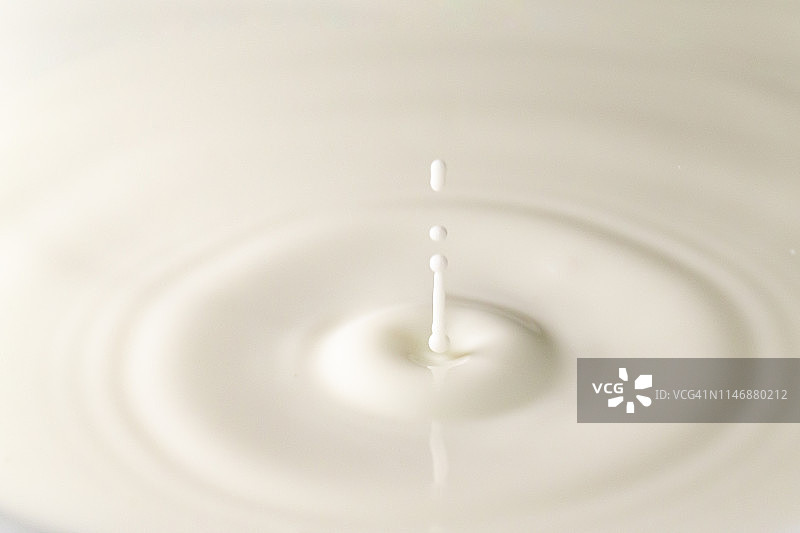 鲜奶滴溅在牛奶池中。白色背景。与圈涟漪。图片素材