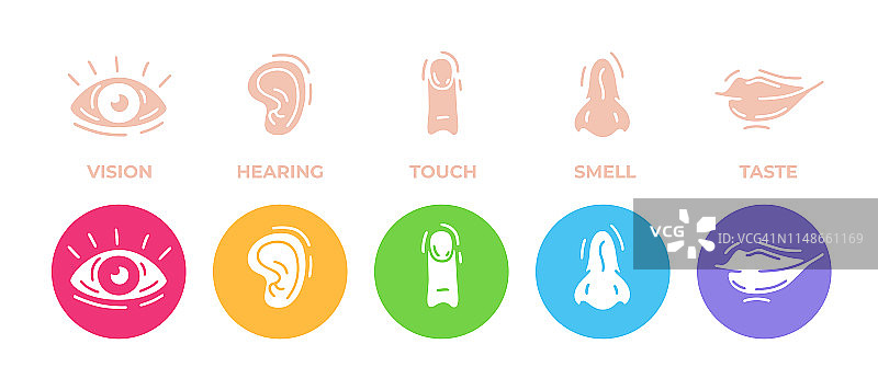 五种人的感官图标设置。视觉、听觉、触觉、嗅觉和味觉。眼睛，耳朵，手，手指，鼻子和嘴巴。可爱简单的现代设计。符号和标志。平面风格矢量插图。图片素材