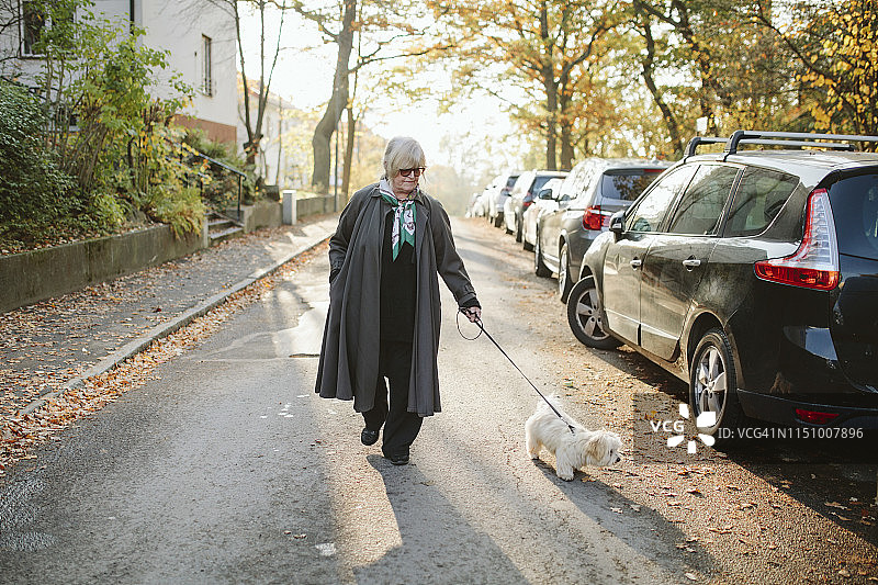全身的老妇人在秋天的路上遛狗图片素材