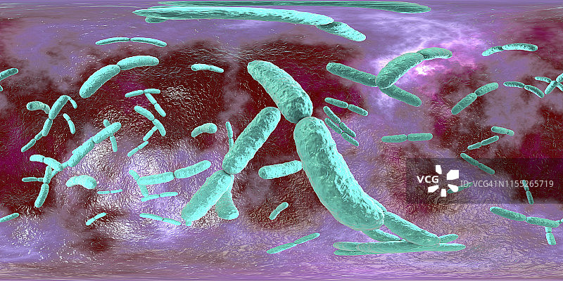乳酸菌细菌,插图图片素材