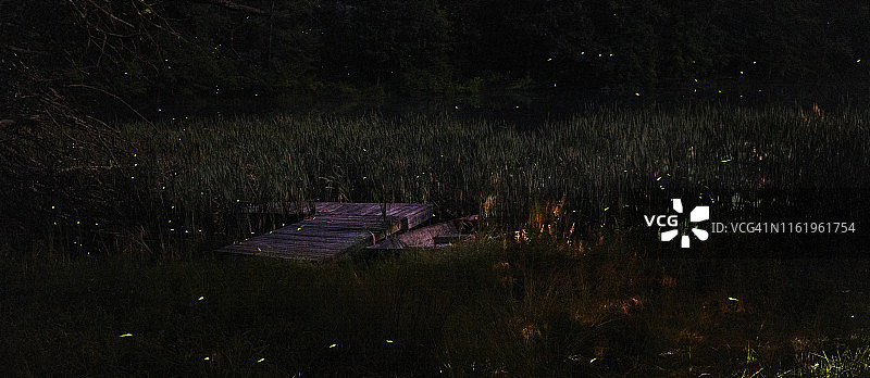 夜晚在湖边的萤火虫图片素材