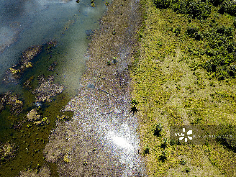 鸟瞰图在亚马逊地区的一个湖-东北部帕拉州，巴西图片素材