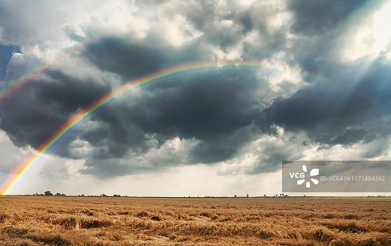 波兰农村玉米地里的彩虹图片素材
