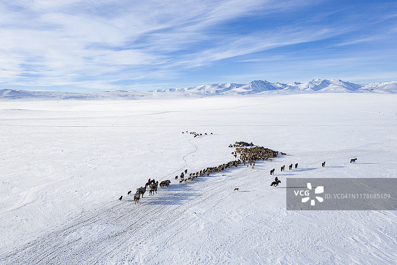 游牧的哈萨克人和他们的牲畜一起迁徙图片素材