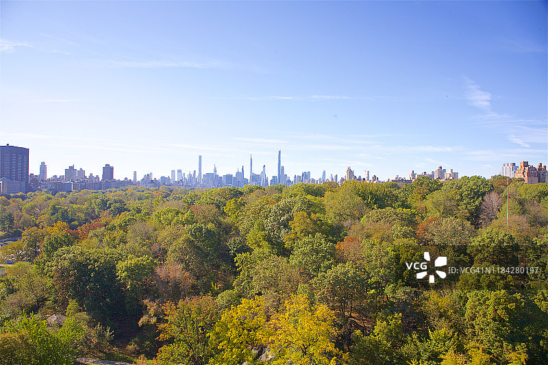 纽约中央公园的树木和中城大厦的秋景图片素材