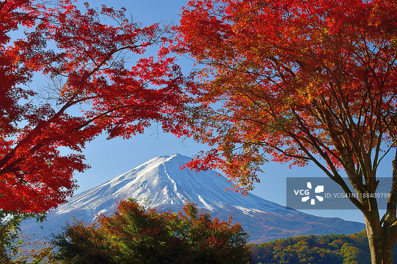 富士山和秋叶颜色:从川口湖看图片素材
