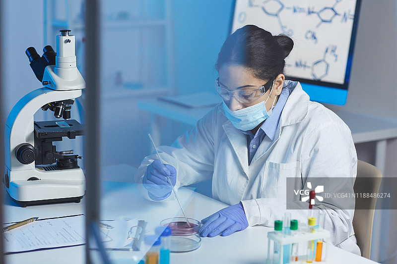 严肃的年轻印度女性生物学家穿着实验服戴着外科口罩坐在桌子前用显微镜和培养皿研究细菌图片素材