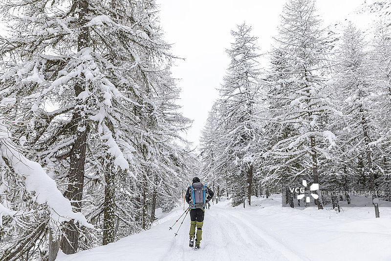 徒步旅行者在白雪覆盖的森林里行走图片素材