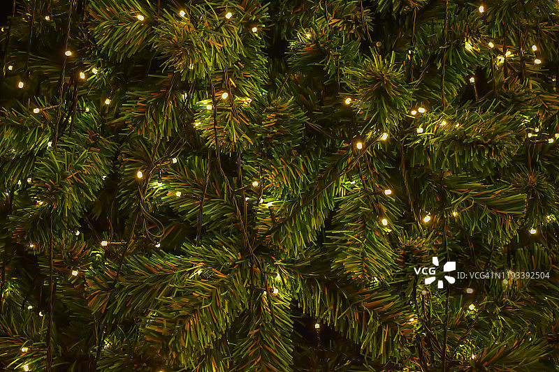 近距离照明圣诞树装饰图片素材