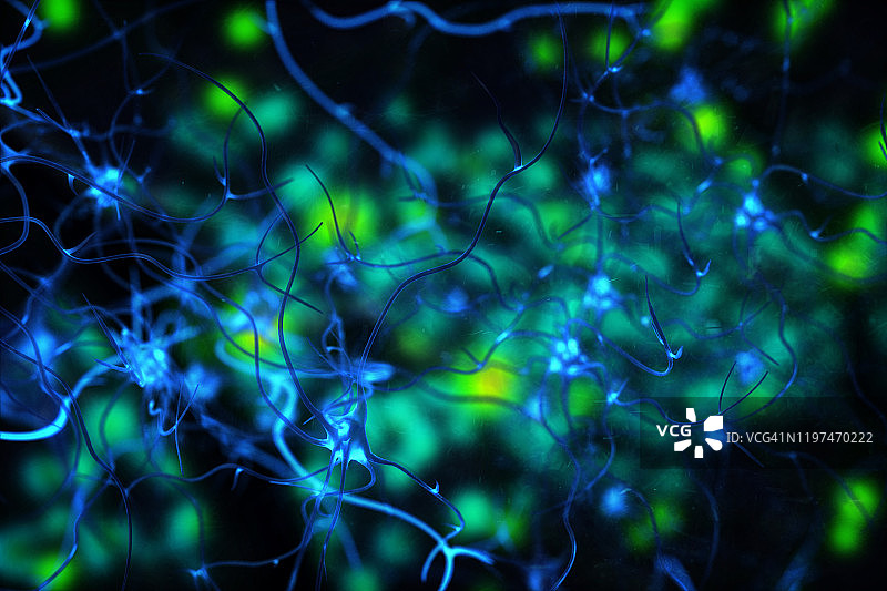 神经细胞3D BCI想法生物医学插图图片素材