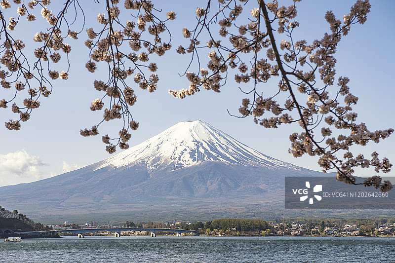 日本山梨县川口湖的富士山和粉红色樱花的春天图片素材