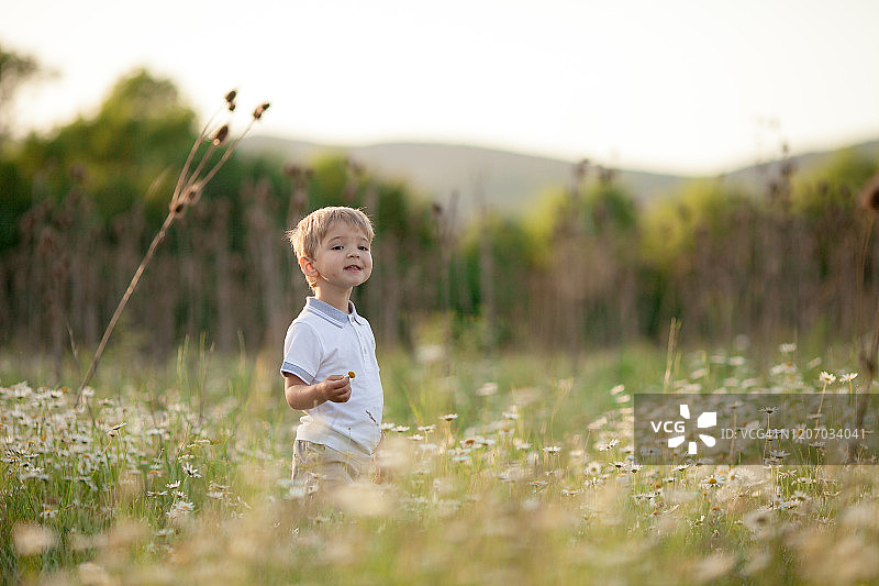 一个穿着白衬衫的小男孩走在春天盛开的绿色草地上图片素材