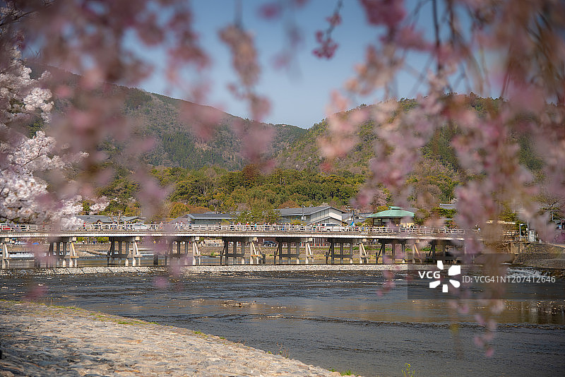 岚山与樱花盛开的日本关西京都图片素材
