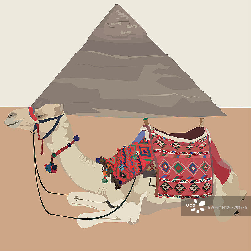 埃及金字塔，吉萨，开罗和骆驼，矢量插图图片素材