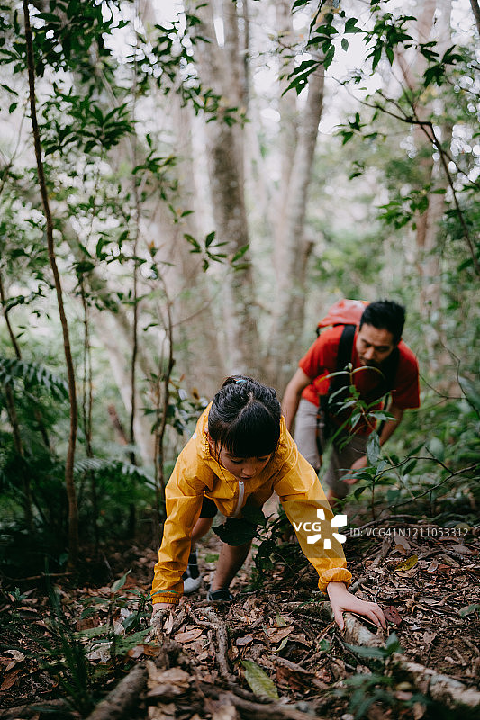 小女孩和爸爸在日本冲绳的森林里徒步旅行图片素材
