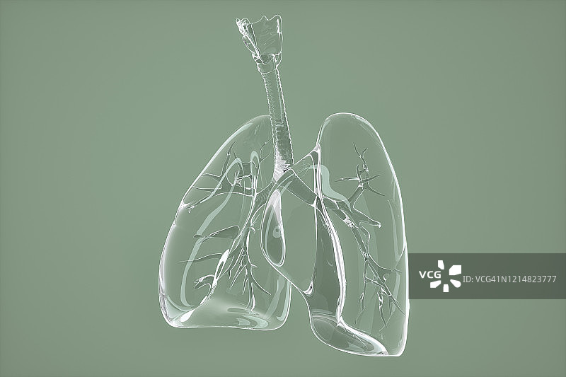 玻璃的肺图片素材