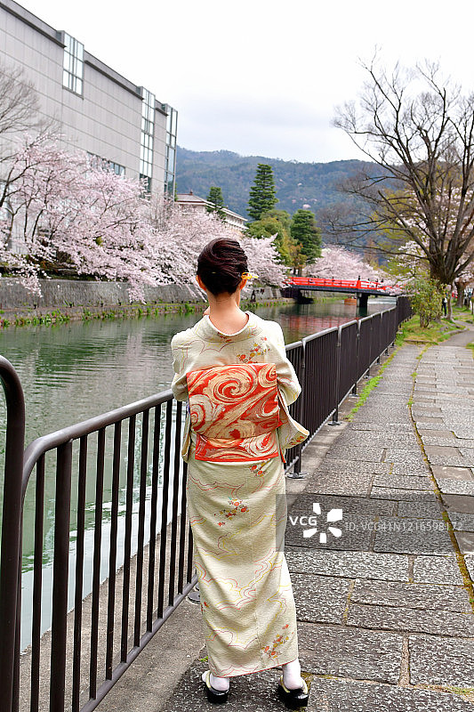 穿着和服的日本妇女在京都享受樱花盛开的季节图片素材