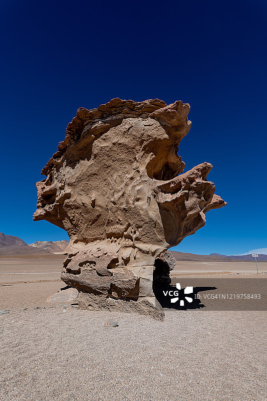 玻利维亚，波多西地区，石树图片素材
