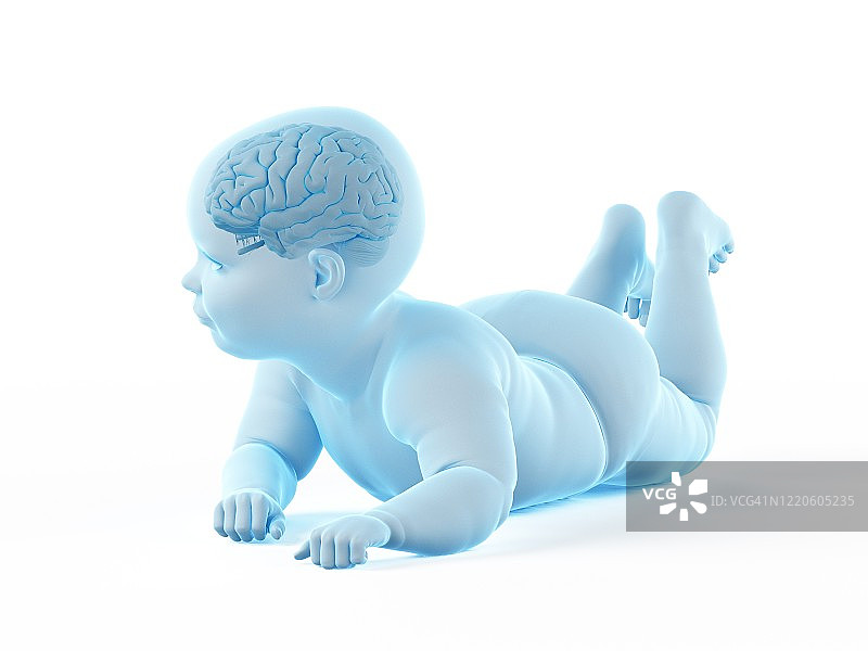 婴儿的大脑，插图图片素材