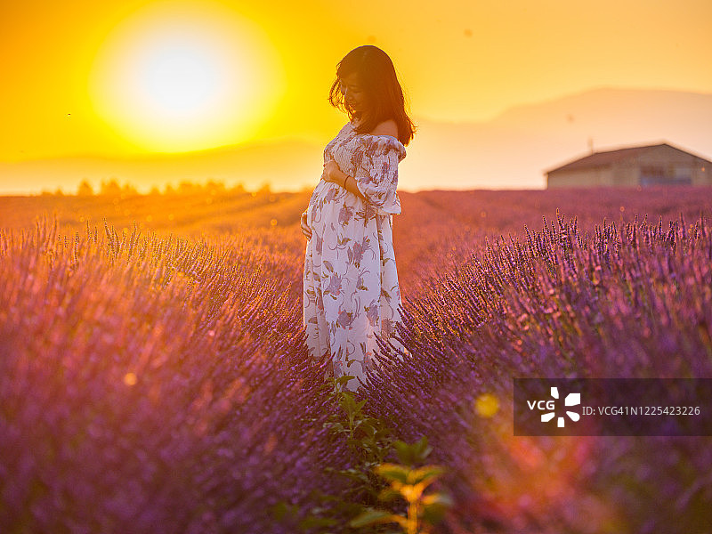 美丽的亚洲孕妇在薰衣草田日出，普罗旺斯图片素材