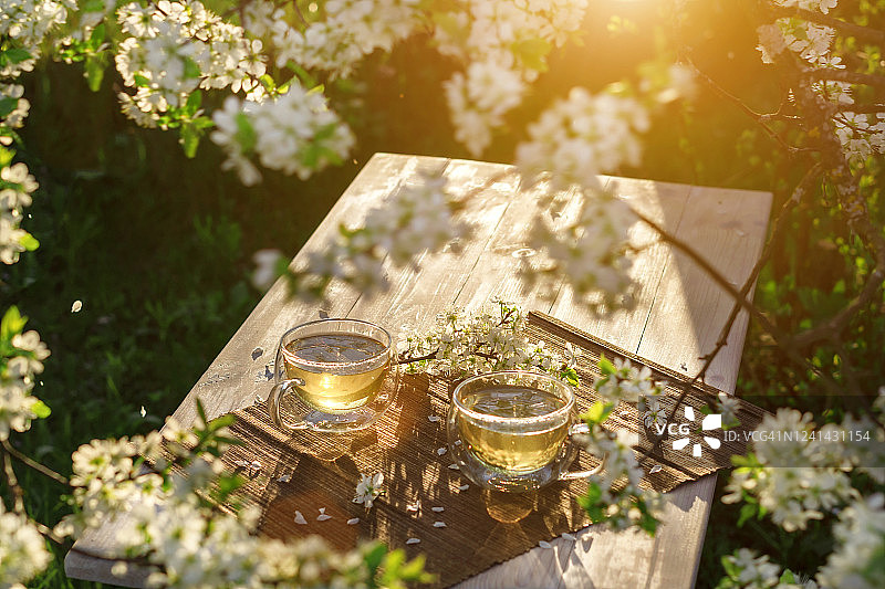 在落日的余晖中，春天花园的木桌上放着两只美丽的茶杯，茶杯上的绿茶点缀着白色的樱花。图片素材