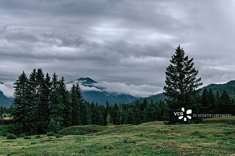 引人注目的低云阿尔泰山自然绿草景观背景图片素材