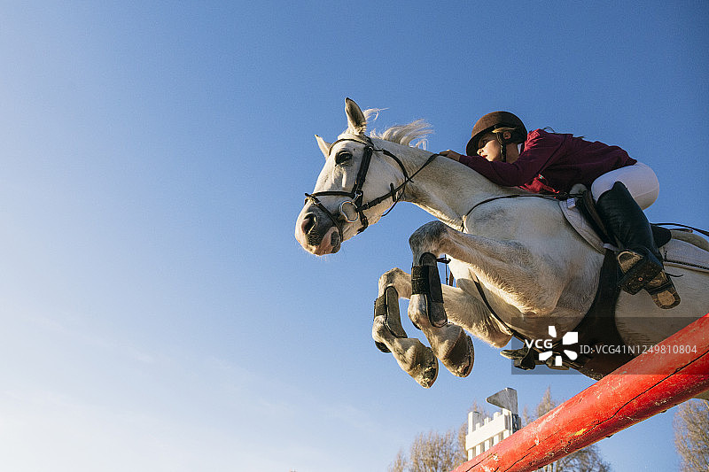 低角度的女孩骑着白马，而跳过障碍训练障碍课程对清澈的蓝天图片素材