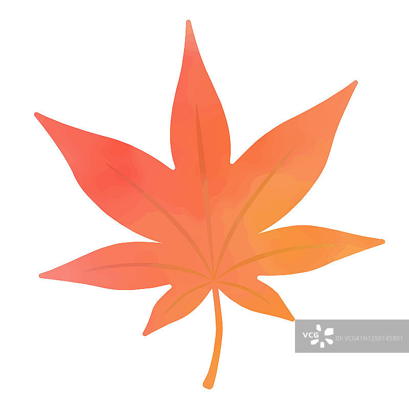 秋叶水彩画。图片素材