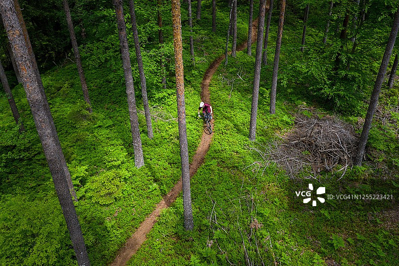 奥地利卡林西亚克拉根福，山地自行车穿越森林图片素材