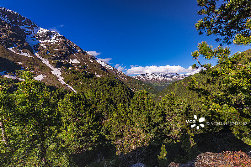 在斯特尔维奥国家公园，佛尼-圣卡塔丽娜迪瓦尔富尔瓦，意大利阿尔卑斯山的雪山山谷图片素材