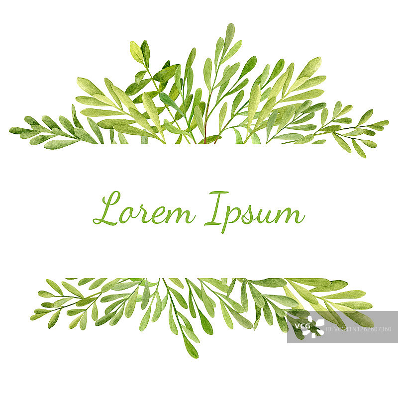 水彩框架与新鲜的绿色叶子。手绘几何模板与茶树植物孤立在白色的背景。桉树香草画请柬，卡片，保存日期，婚礼，打印图片素材