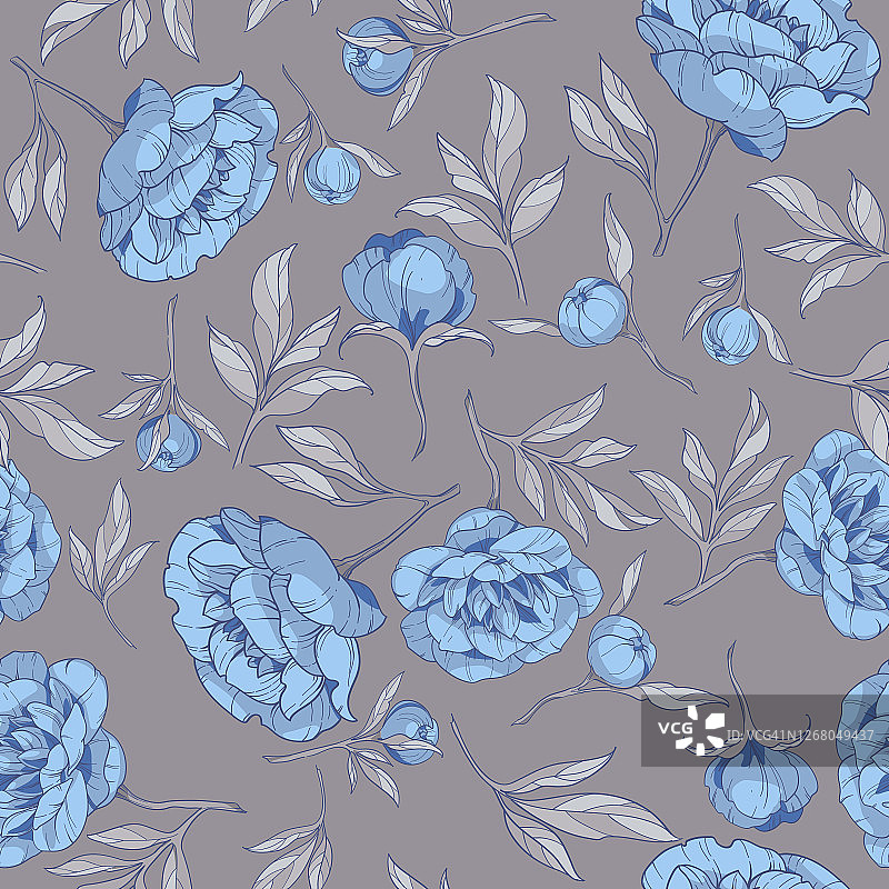 天衣无缝的蓝色牡丹花，灰色的叶子在灰色的背景。矢量图图片素材