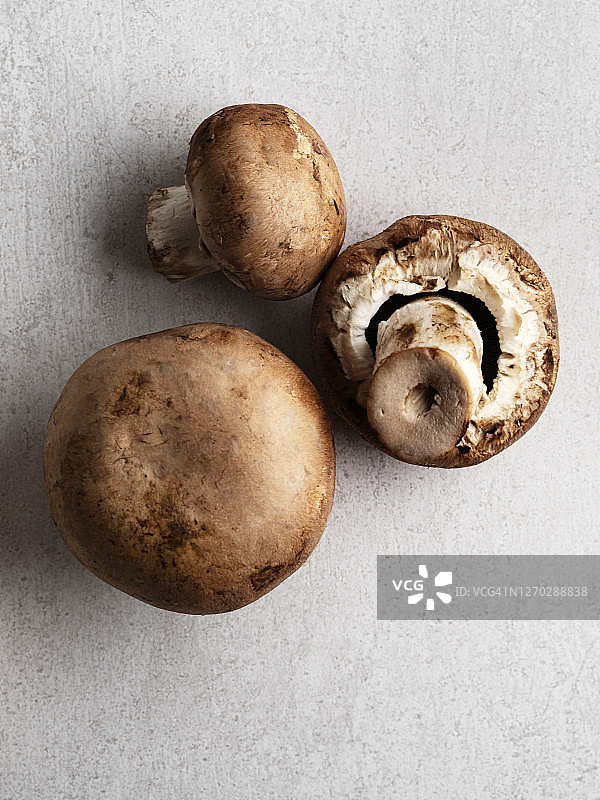 蘑菇、鲜蘑菇图片素材