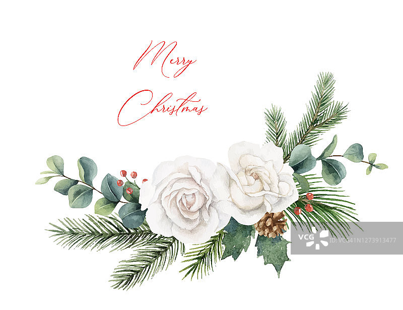 水彩矢量圣诞花环与冷杉树枝，白玫瑰和桉树。手绘插图的问候花明信片和邀请孤立在白色的背景。图片素材