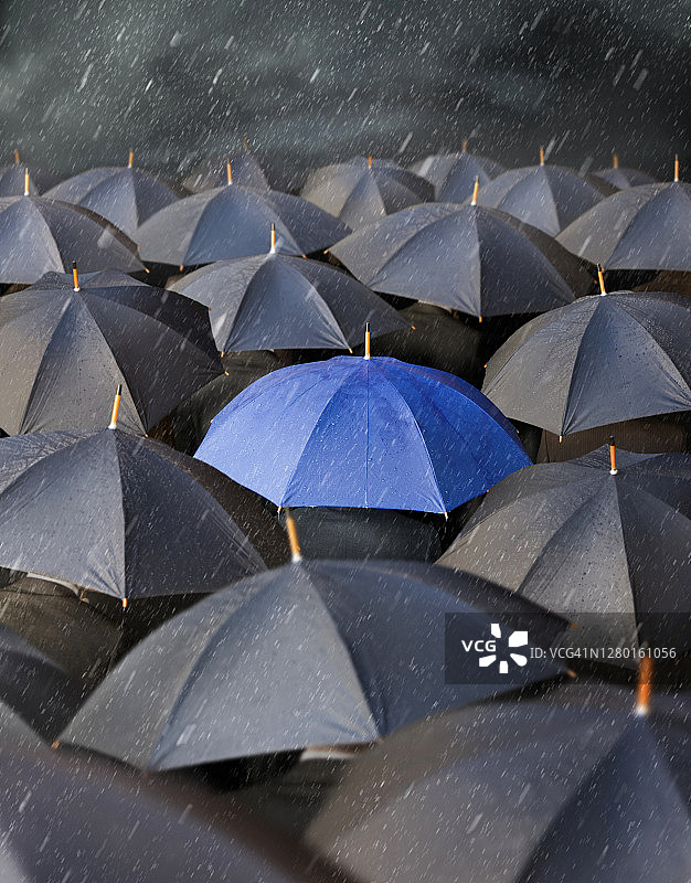 许多灰色的雨伞在雨中，有一把蓝色的，格外醒目图片素材