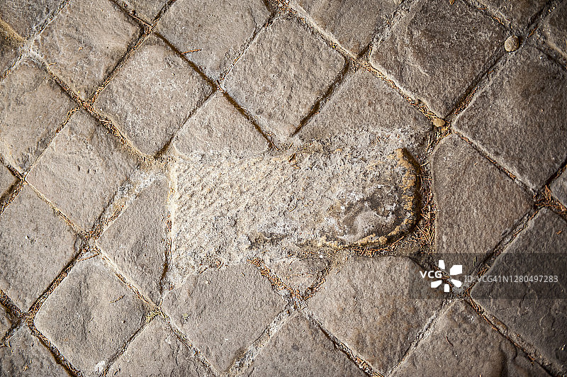 圣热纳维芙，法国，圣热纳维芙，中世纪风格的地板，圣热纳维芙奇迹般地制造了一个春天出来图片素材