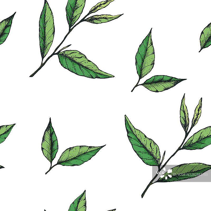 矢量插图的一个简单的手绘绿茶无缝模式。设计织物，文具或包装纸为茶，抹茶，包装，标签图片素材