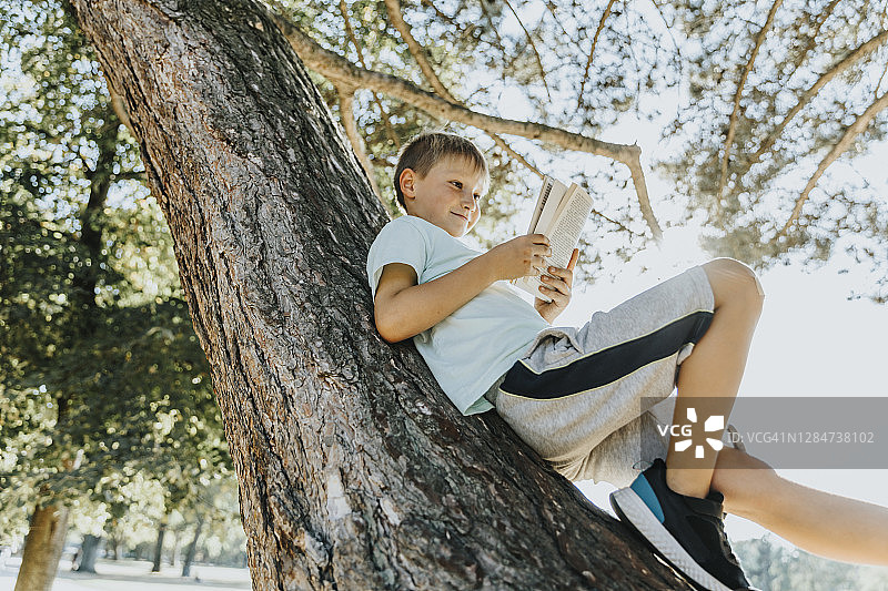 男孩在公园里躺在树干上看书图片素材