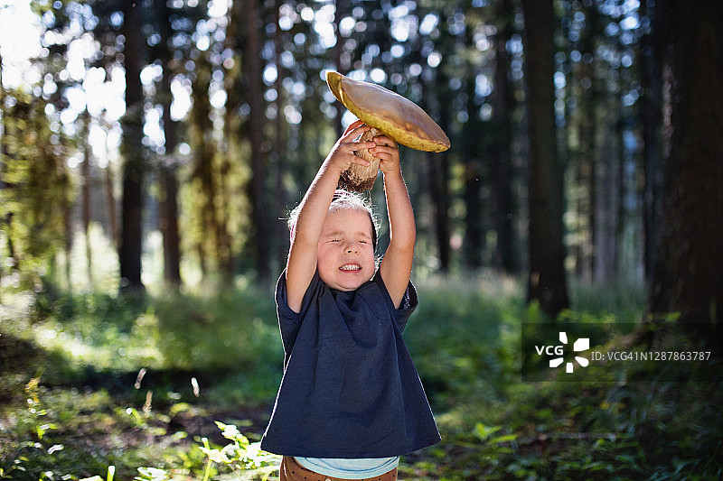 正面观在大自然的森林里的小孩，抱着大蘑菇。图片素材