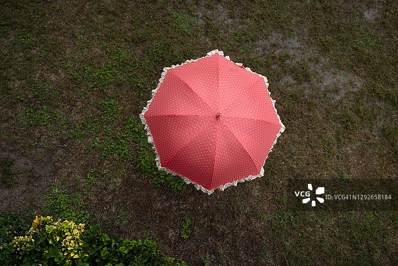 橘色的雨伞在花园里，高角度观赏图片素材