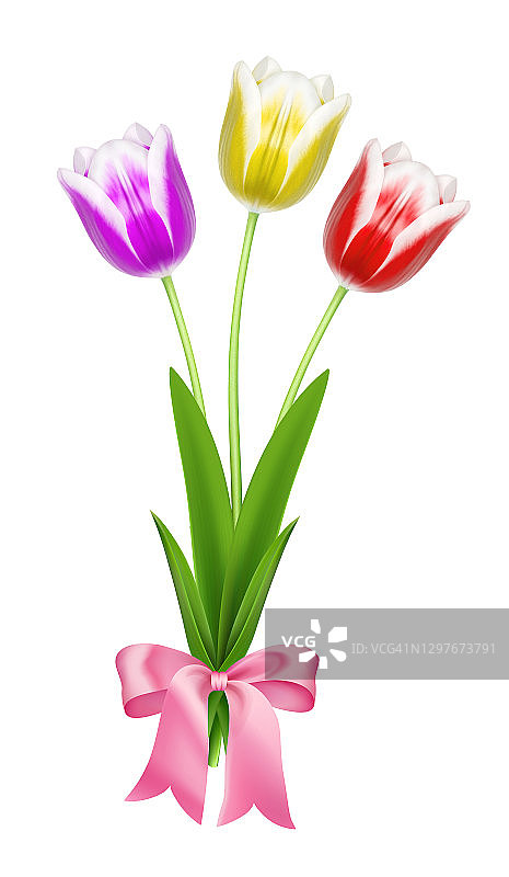 春季郁金香花束与蝴蝶结图片素材