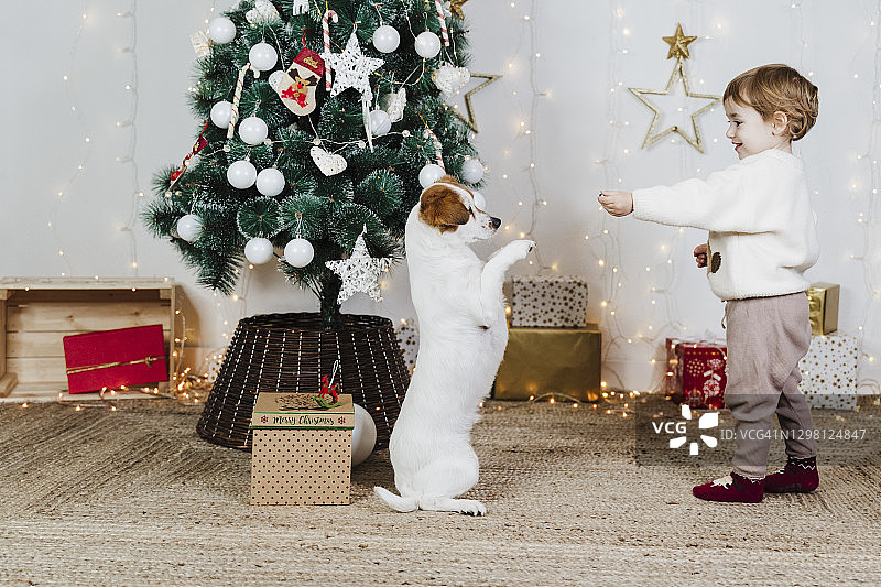 圣诞节期间，小女孩在家里和小狗玩耍图片素材