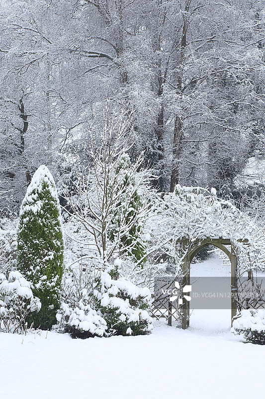 英国家庭花园在一月的雪毯下。图片素材