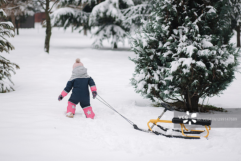 小女孩在雪地上走，拉着她的雪橇。冬季户外活动。可爱的小女孩图片素材