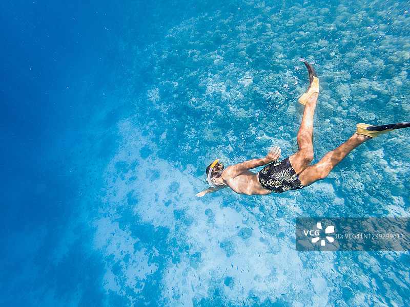 人在热带海洋潜水，水下拍摄图片素材