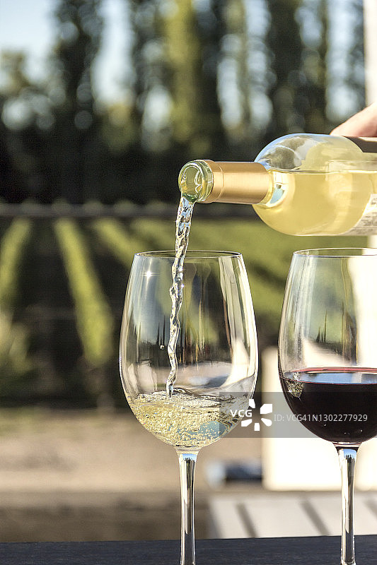 在葡萄园中提供白葡萄酒和红葡萄酒，在葡萄酒旅游访问。阿根廷门多萨。图片素材