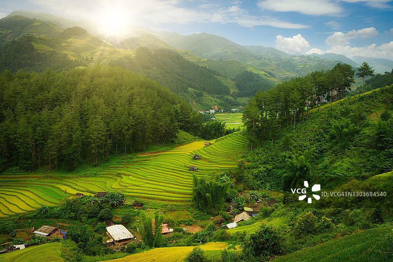 越南的稻田和传统小村庄在阳光下展示了稻田的美丽景色和丰富的自然。图片素材